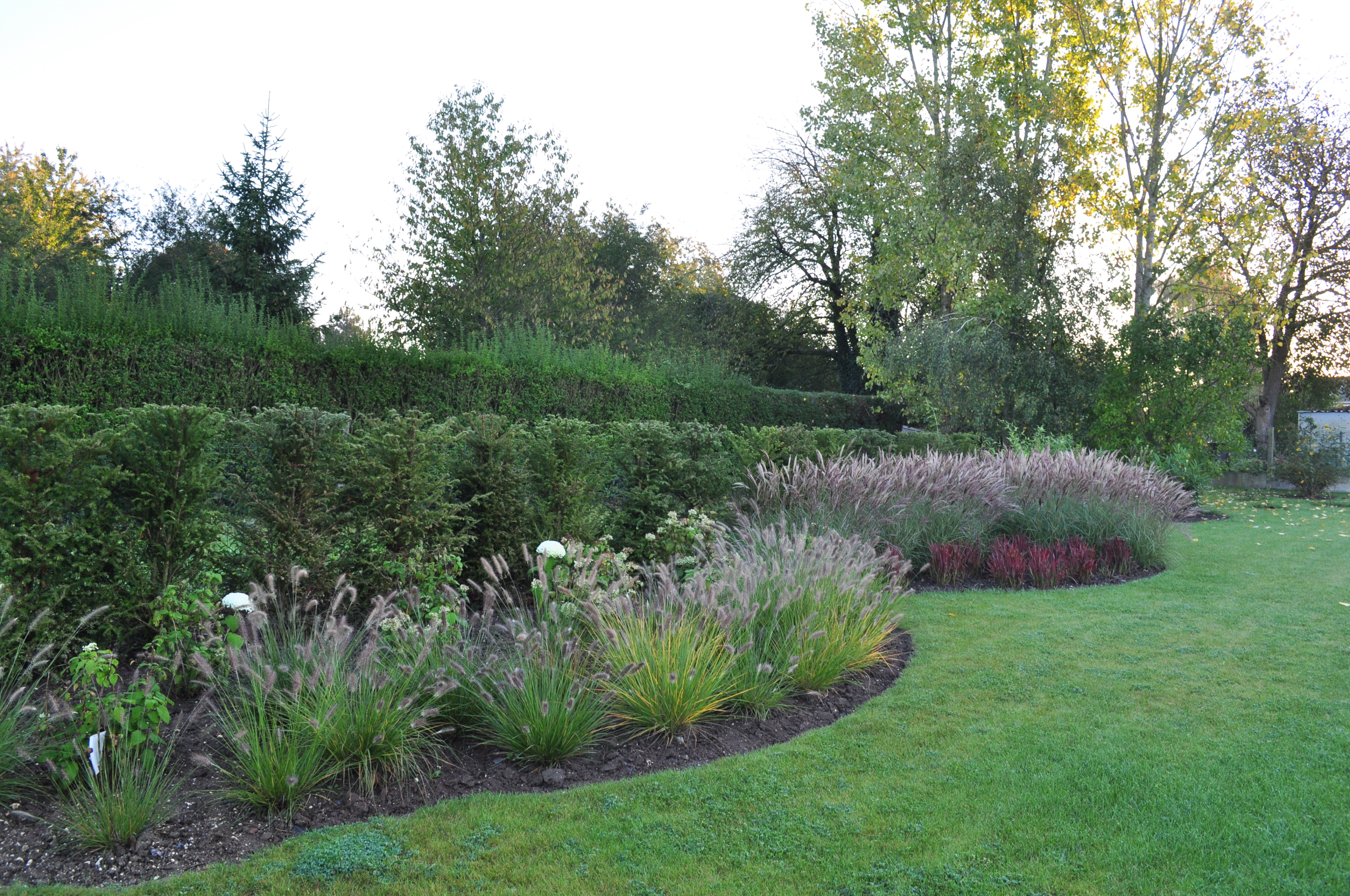 Massif de plantes ornementales