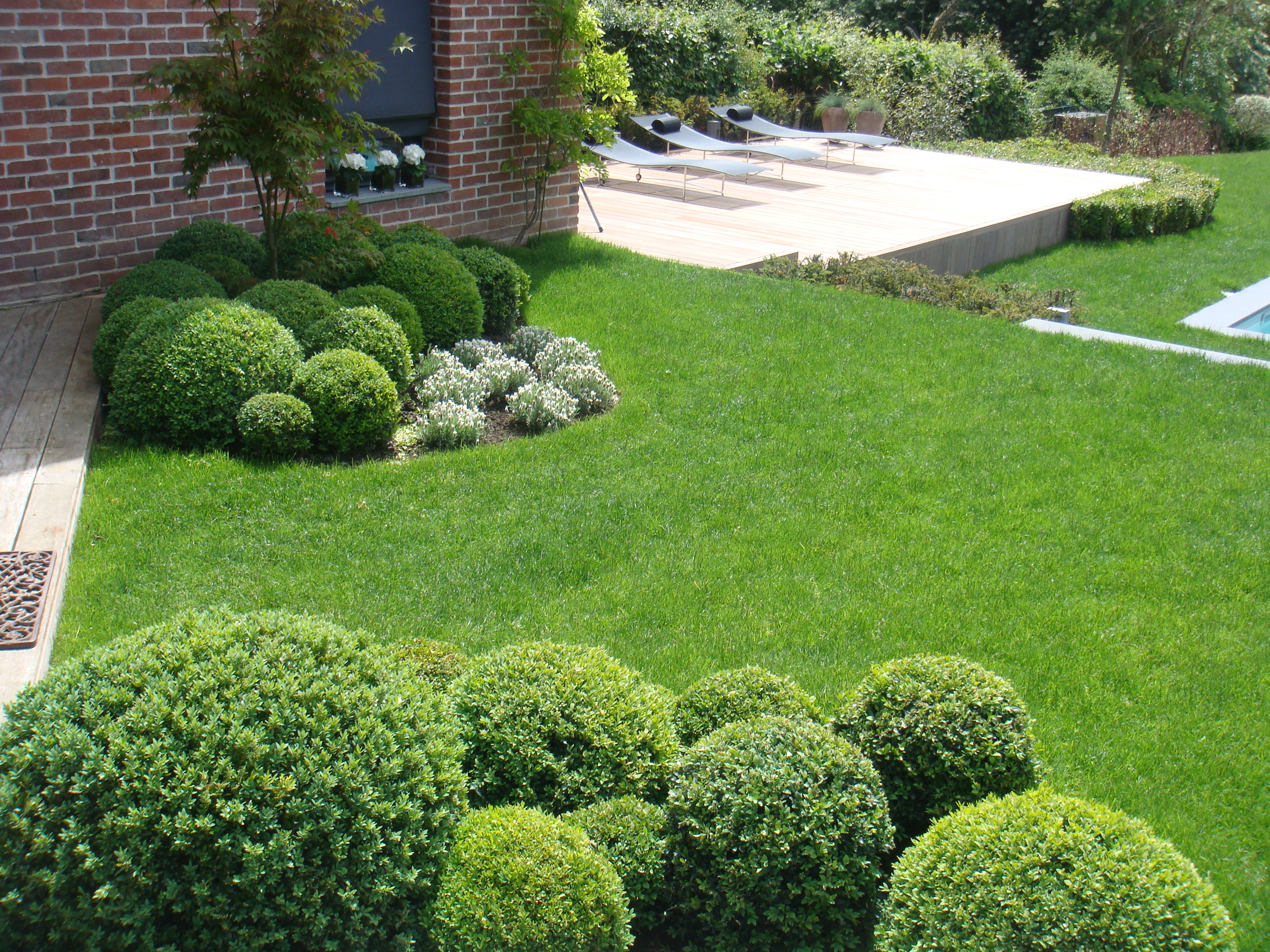 Topiaires et jardin soigné