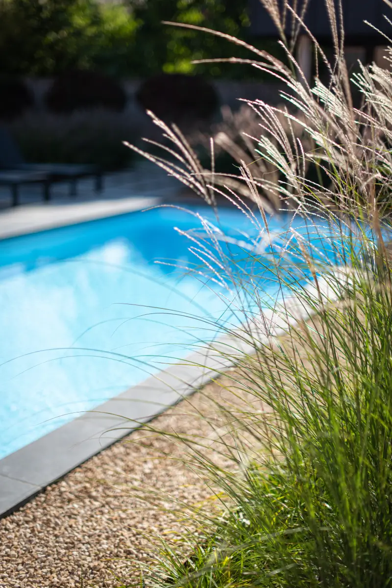 Constructeur de piscine